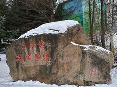 -横道河子东北虎林园