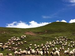 -青海湖国家重点风景名胜区
