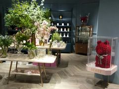 -BEAST野兽派(上海浦东嘉里城店)