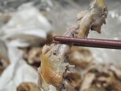 -荔湾湖公园