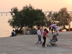 -宝安西湾红树林湿地公园