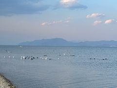 -洱海月湿地公园