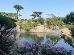 -罗红摄影艺术馆