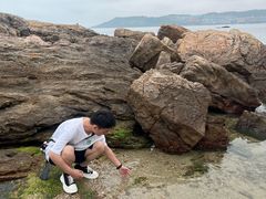 -碧桂园十里银滩