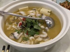 -蜀腾川·火锅鱼.烤鱼(新世界城店)