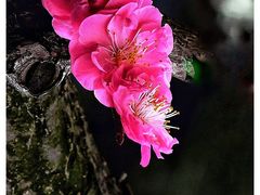 -静安雕塑公园