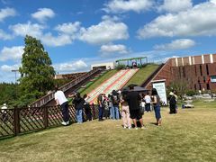 -黄海国家森林公园