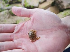 -第35届青岛国际啤酒节