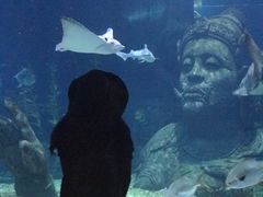 -暹罗海洋世界
