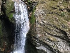 景点-牛背梁国家森林公园