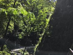 -雁荡山三折瀑景区