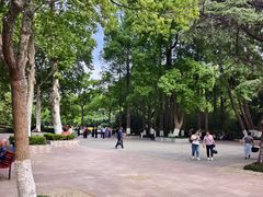 -赭山公园