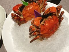 熟醉六月黄-福玺荟(外滩罗斯福店)