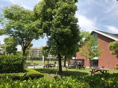 -上海德威外籍人员子女学校(浦东校区)