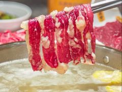 -潮发潮汕牛肉店(东方宝泰店)