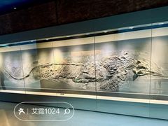-安徽省地质博物馆