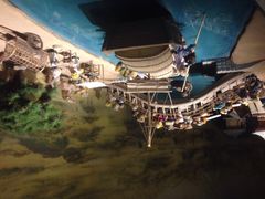 泰迪熊博物馆-成都泰迪熊博物馆