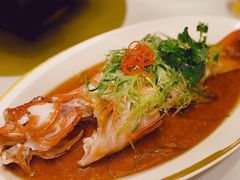 东星斑-金轩中餐厅 Jin Xuan(浦东丽思卡尔顿酒店)