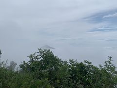 -武陵山森林公园