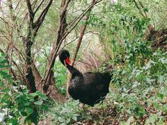 -长兴太湖图影湿地文化园