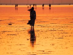 -南汇嘴观海公园