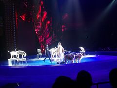 -珠海横琴长隆《卡卡虎奇遇记》