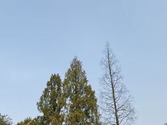 -凤凰御元艺术基地