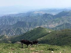 -灵山