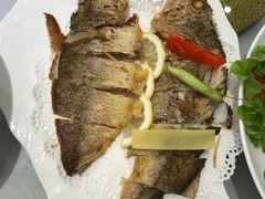 香煎黄鱼鲞-骏莱海鲜鱼港(五角场店)