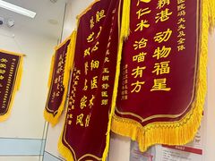 -中农国际动物医院24小时·猫科·骨科·急重症中心
