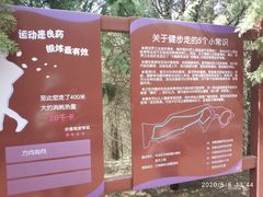 -云岗森林公园