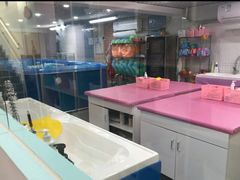 -贝尔亲子水育乐园