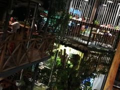 -Rainforest