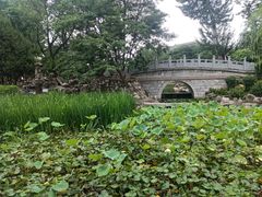 -莲湖公园