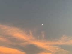 -星光岛