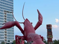 -虾皇(龙虾城旗舰店)