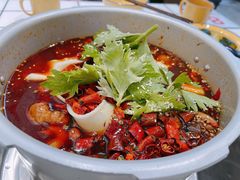 -晓彭肥肠鸡·泡椒鸡火锅(水木天地店)