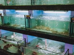 水产区-旺达·福州菜(正大广场店)