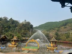 -西双版纳原始森林公园