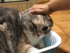 -藦茜花园宠物主题亲子互动体验馆(国顺东路店)