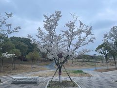 -上海海事大学(临港校区)