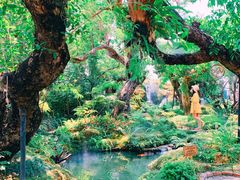 -Chom Cafe and Restaurant