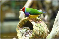 -Zoolung Zoolung动物主题公园(海信广场店)