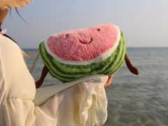-贝壳沙滩