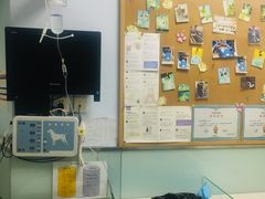 -纳吉亚猫专科动物医院博雅分院
