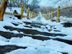 -北京西山国家森林公园