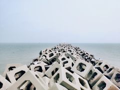 -东疆建设开发纪念公园