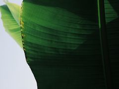 -亮河湾山庄