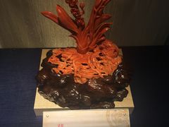珊瑚-绮丽珊瑚(台北101旗舰门市店)