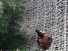 -呀路古热带植物园